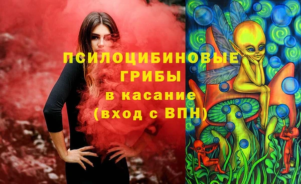 мдпв Абаза