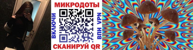 хочу наркоту  Одинцово  Псилоцибиновые грибы Psilocybe 
