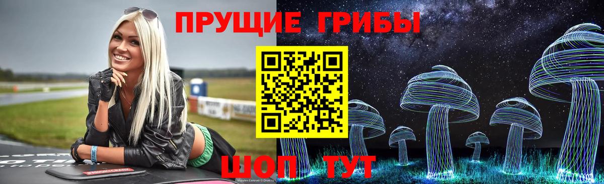 Псилоцибиновые грибы GOLDEN TEACHER Одинцово