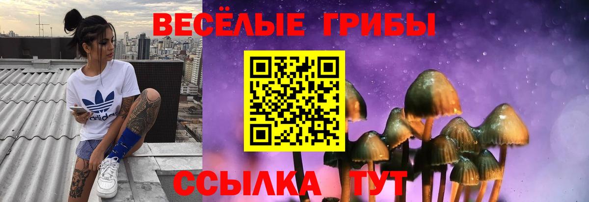 Одинцово  Галлюциногенные грибы Cubensis  Вход с VPN  Псилоцибиновые грибы Magic Shrooms 